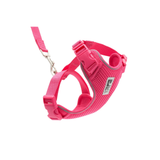 RC Pets Adventure Kitty Harness Azalea