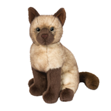 Douglas Chai Siamese Cat