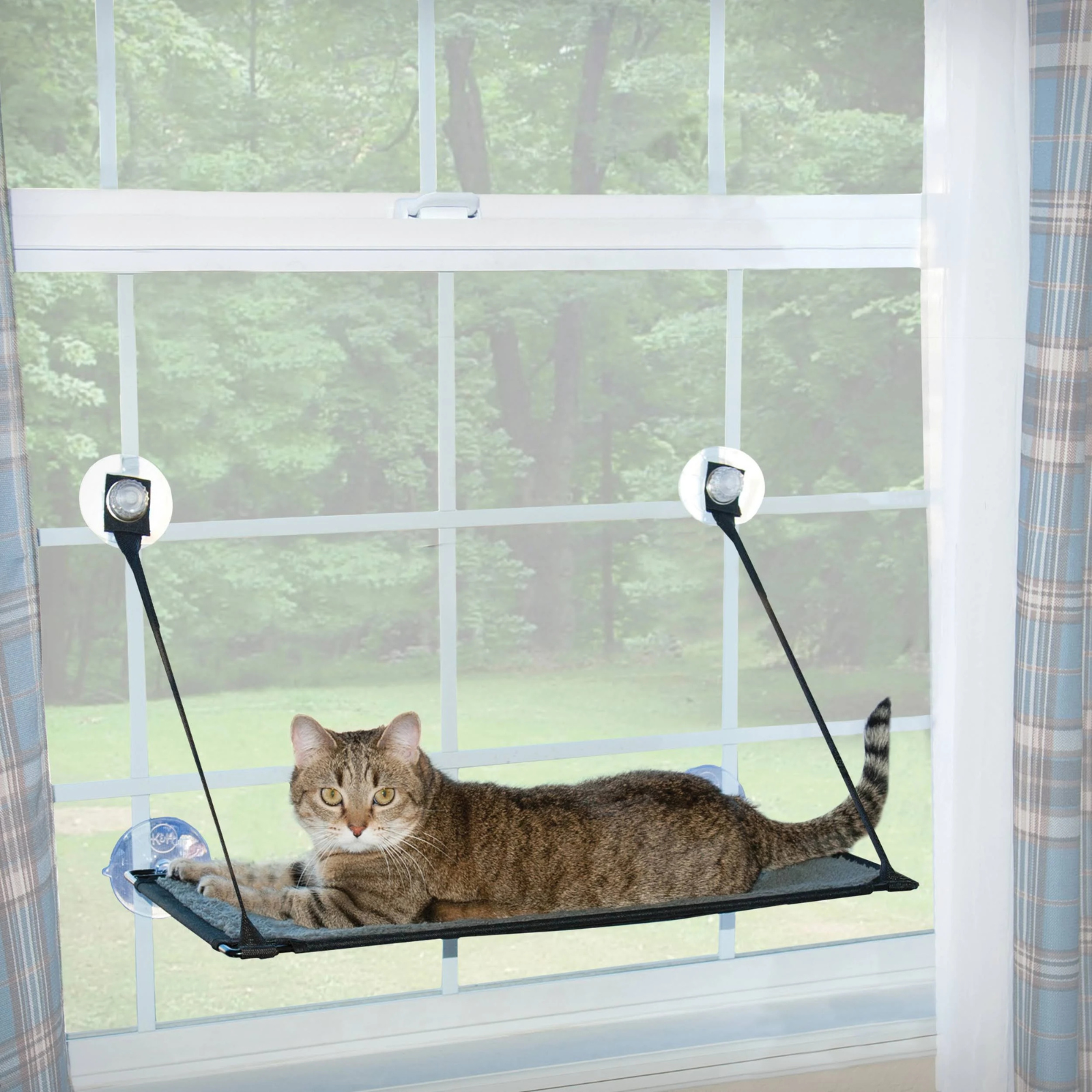 A brown tabby cat lies on a black window perch suspended by two white suction cups in front of a white-framed window with a green wooded outdoor view.