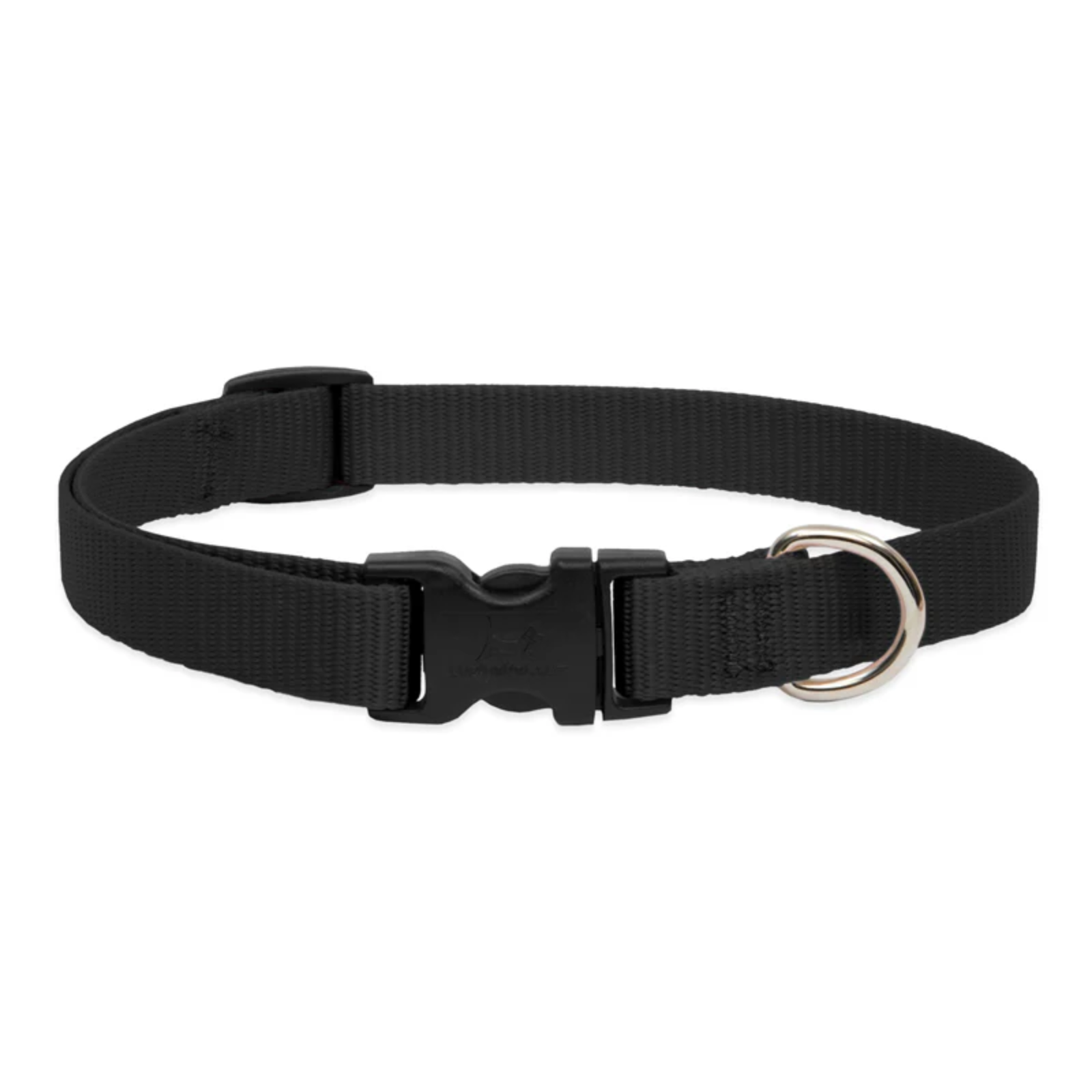 Black dog collar with a metal buckle on a white background
