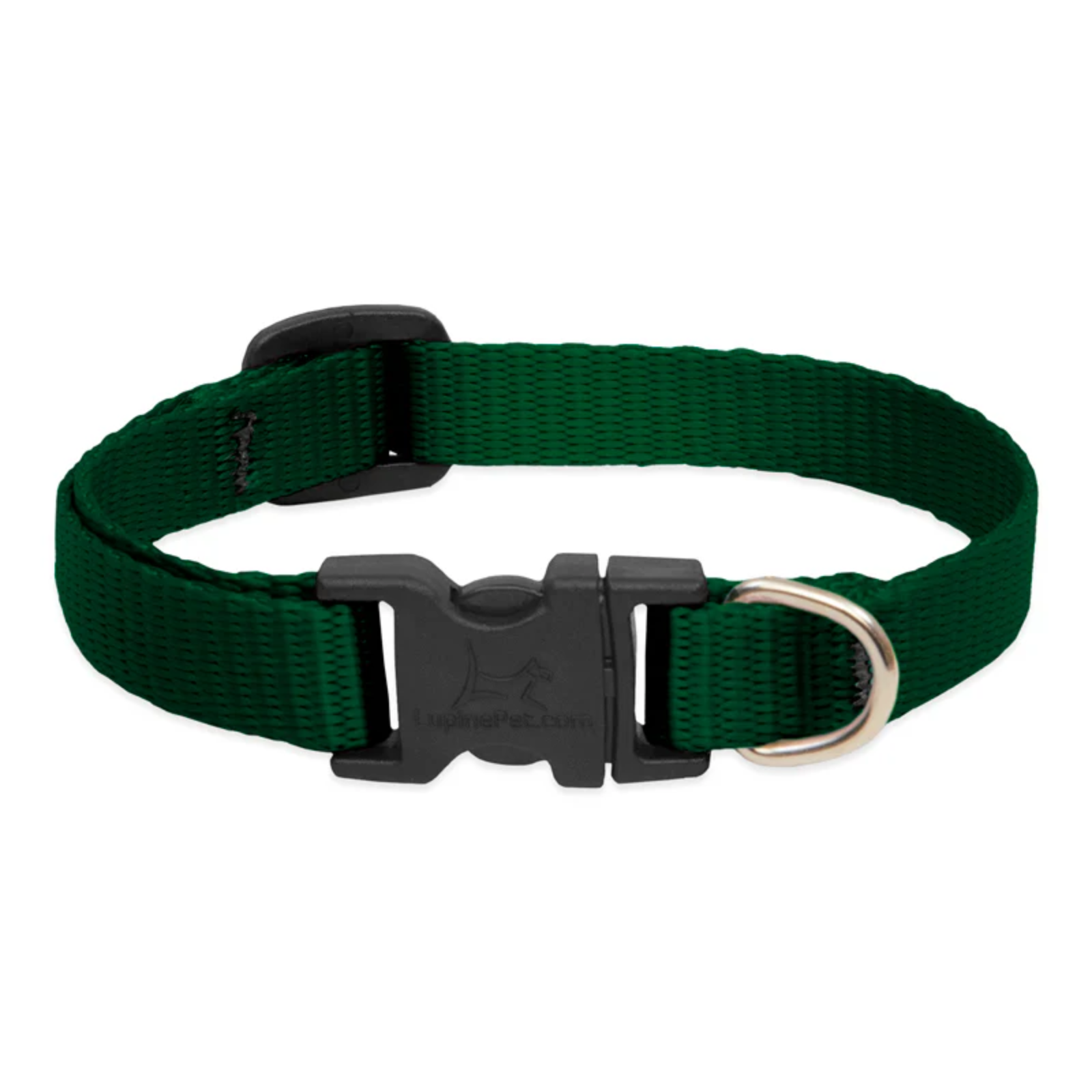 Green dog collar with a black buckle on a white background