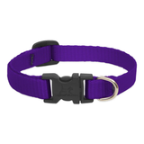 A purple nylon dog collar with a black plastic quick-release buckle and a silver metal ring, shown on a plain white background.