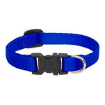 Blue dog collar with a black buckle on a white background