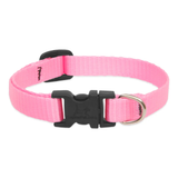 Pink dog collar with a black buckle on a white background