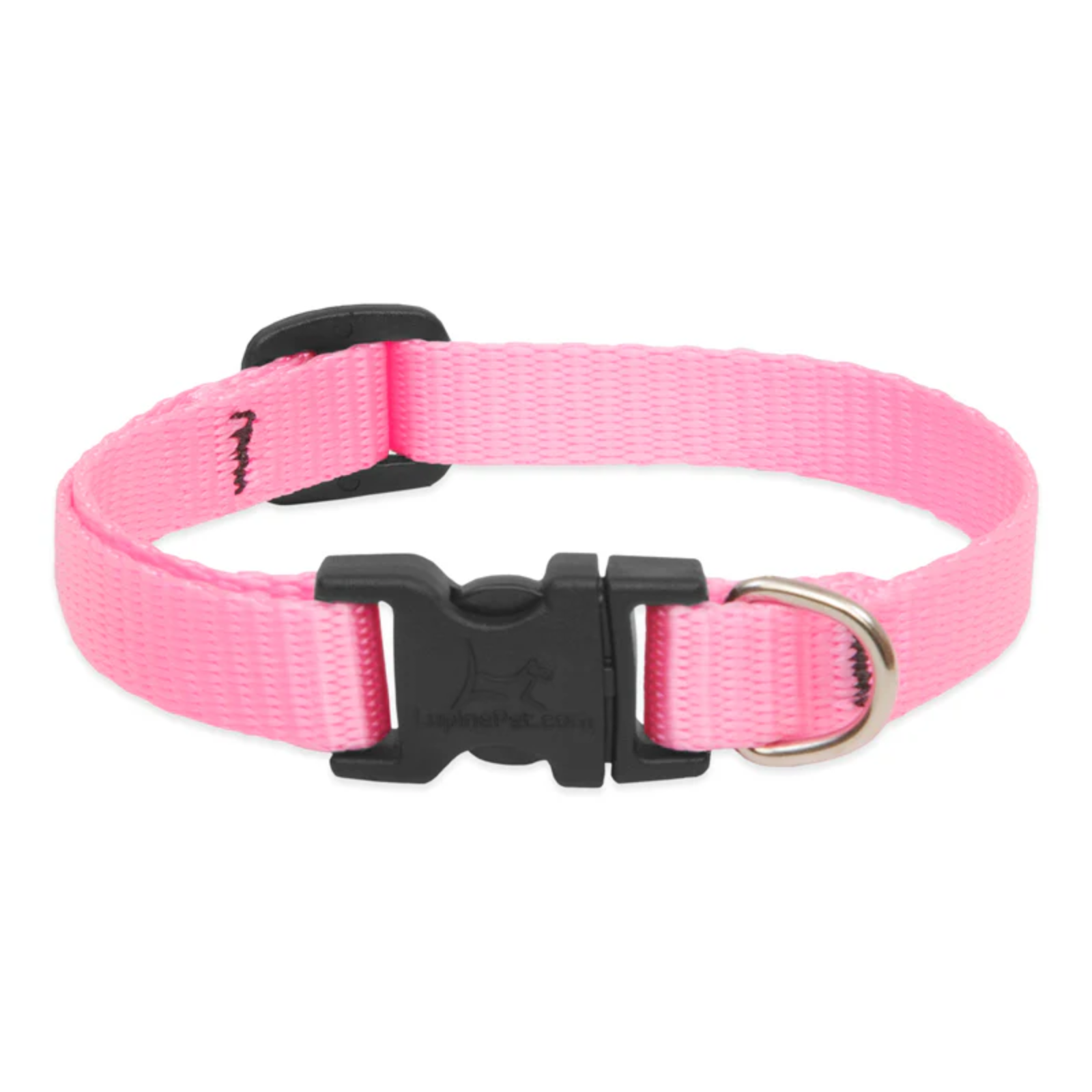 Pink dog collar with a black buckle on a white background