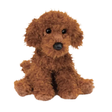 Douglas Ginger Miniature Poodle