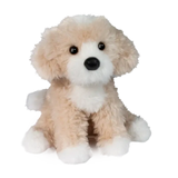 Douglas Darcy Golden Doodle