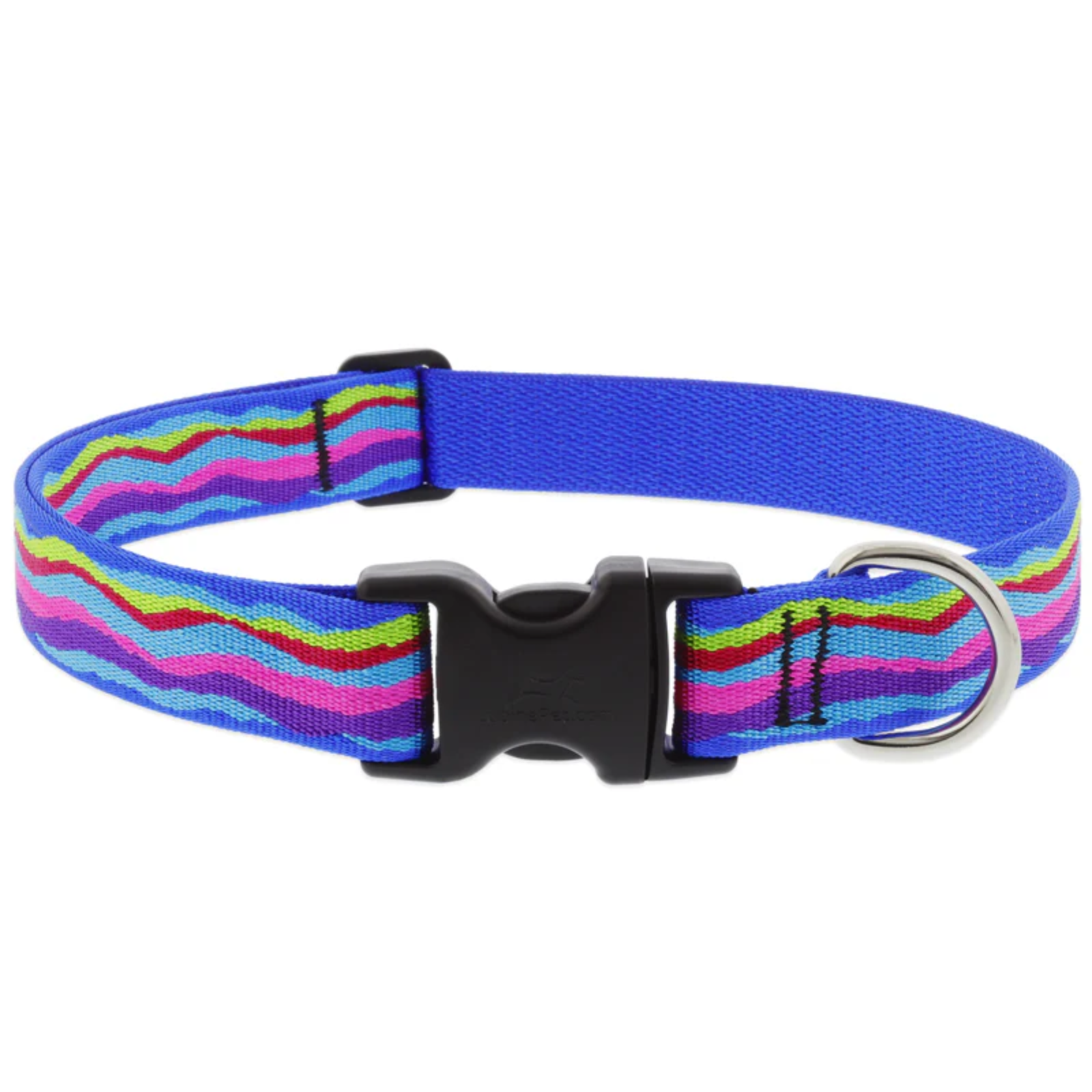 Dog collar with colorful striped pattern on a white background