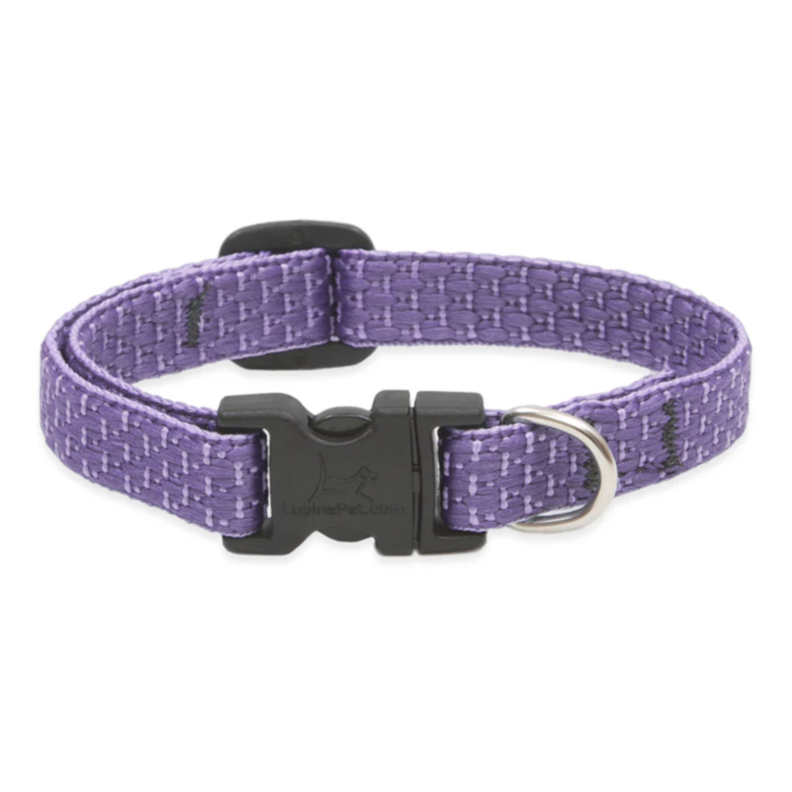 Purple dog collar with black buckle on a white background