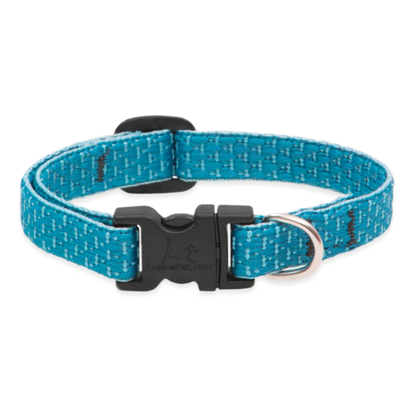 Blue dog collar with black buckle on a white background