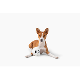 PatchworkPet Pricklet Ghost 4in