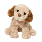 Douglas Biscuit Cavapoo