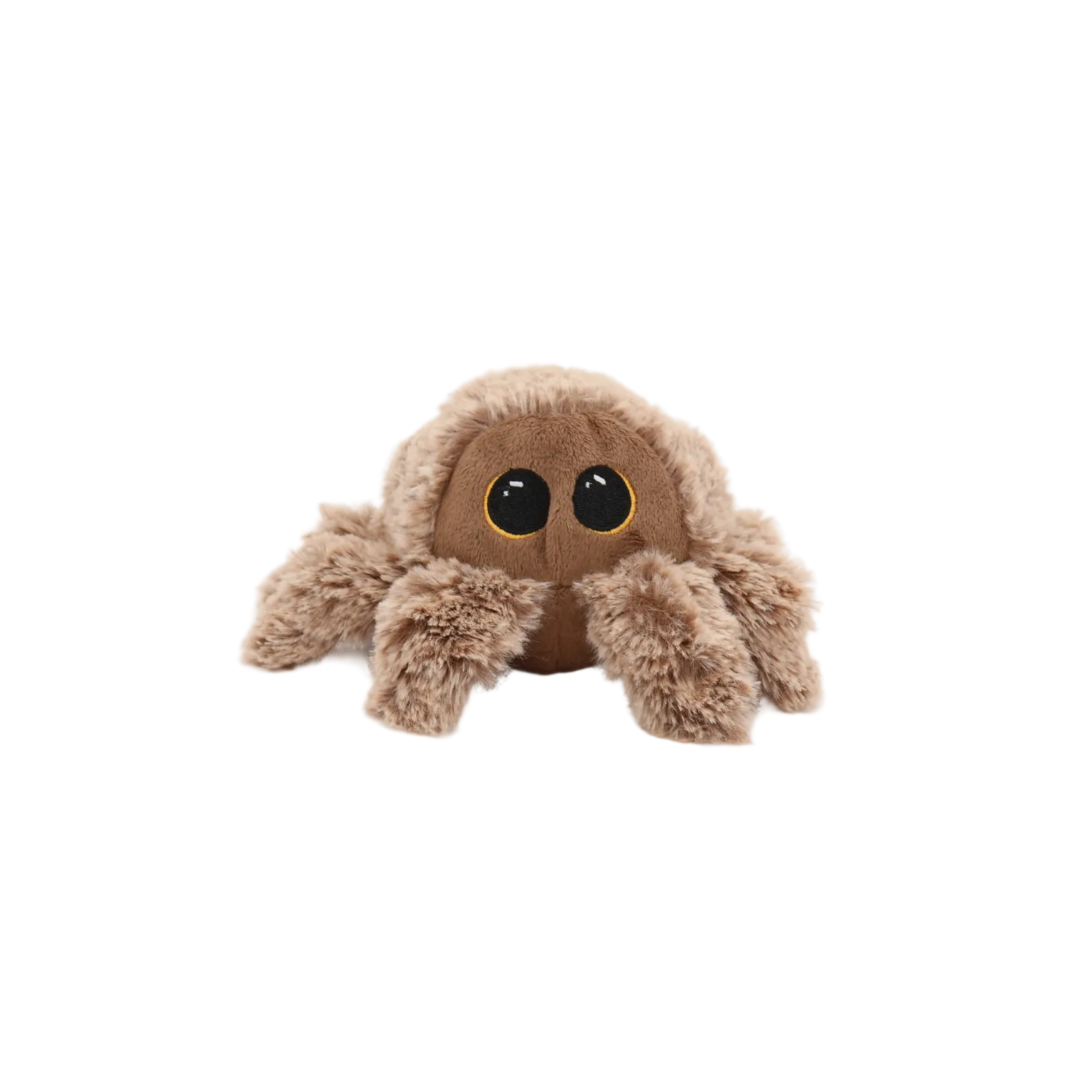 A small brown plush spider toy with large black eyes outlined in gold, photographed on a clean white studio background.