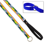 Colorful dog leash with a blue collar on a white background