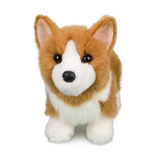 Douglas Louie Corgi