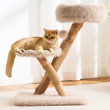 A golden cat lounges on a wooden cat tree with faux fur platforms, sisal-wrapped scratching posts, and a hanging toy ball, set in a bright room with white curtains.