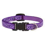 Purple dog collar with black buckle on a white background