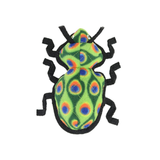 Tuffy Bug Beetle
