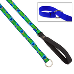 Peacock feather patterned dog leash with a blue collar on a white background