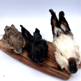 What The Raw Rabbit Head