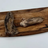 What The Raw Lamb Ear