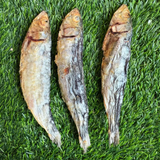 Golden Nibbles Sardine