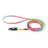 Li'l Pals Pastel Rainbow Dog Leash with E-Z Snap