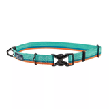 Coastal K9 Trek Collar Everglades
