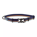 Coastal K9 Trek Collar Napa