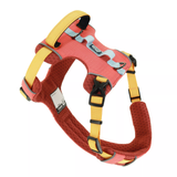 Coastal K9 Trek Harness Mojave