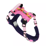 Coastal K9 Trek Harness Rosewood