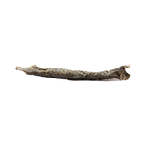 A single dried, curled piece of seaweed or a similar natural plant fiber, shown horizontally against a plain white background.