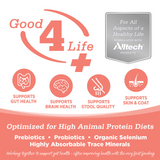 NutriSource GF Ocean Select Cat