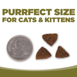 PureVita GF Duck and Red Lentil Cat