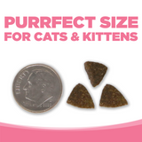 PureVita GF Salmon Pea Cat