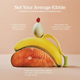 Now! Cat Fresh GF Senior