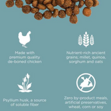 Go! Cat Digestion Chicken with Ancient Grains