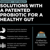 Go! Cat Digestion Chicken with Ancient Grains