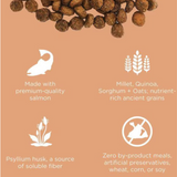 Go! Cat Digestion Salmon with Ancient Grain