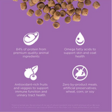 Go! Cat Carnivore GF Chicken Turkey Duck