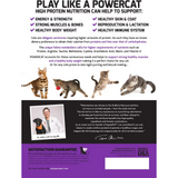 Square Pet VFS Powercat Turkey & Chicken Feline