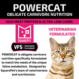Square Pet VFS Powercat Herring & Salmon