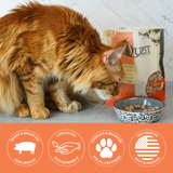 Steve's Quest Cat Freeze Dried Nuggets Pork 10oz