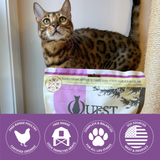 Steve's Quest Cat Freeze Dried Nuggets Chicken 10oz