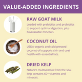 Steve's Quest Cat Freeze Dried Nuggets Chicken 10oz