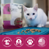 Steve's Quest Cat Raw Nuggets Beef 2lb