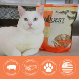 Steve's Quest Cat Raw Nuggets Pork 2lb