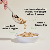 Open Farm Cat Freeze Dried Raw Morsels Chicken & Salmon 9oz