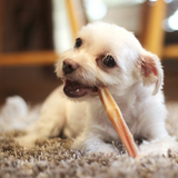 Natural Dog 6in Bully Sticks Odor Free