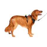 Canada Pooch Neoprene Everything Harness Black